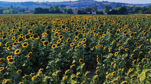 La Casa dei Nonni - Casas Vacanze La Casa dei Nonni - Casas Vacanze