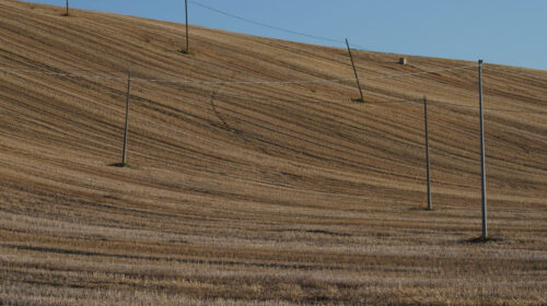 dettaglio-colline_02 dettaglio-colline_02